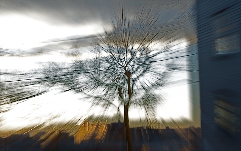 Illustration for article titled Zoom Photo Challenge Gallery 1
